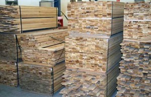 cypress pine